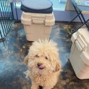 살롱드삐삐 이미지