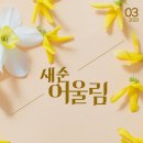 서초대로15길 57 이미지