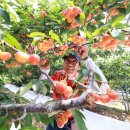 박종수농장 이미지