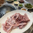 김해원조뒷고기 - 남구 돋질로 160 | [부여 맛집] 가성비 폭발하는 찐 로컬 고기집 ‘원조김해뒷고기’ 솔직 후기