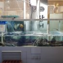 대가숯불장어구이 이미지