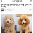 아 이미지