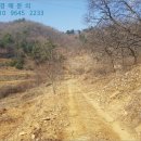 사자골천 이미지