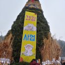 신명나는 "정월대보름 달맞이 축제" 이미지