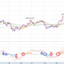 스테이 일목 이미지