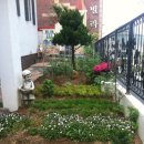 서광자연유치원 이미지