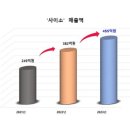 사이소