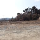 공인중개사사무소 성주 티스토리