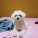 우진황토펜션 이미지