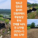 음지리농장 Daum카페