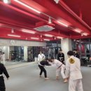 컴뱃주짓수 이미지