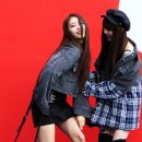 미주콜렉션