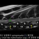 다솜동물메디컬센터 금정점 이미지