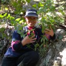 살구정이 이미지