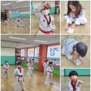 신화정 태권도 이미지