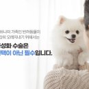 증평동물병원 이미지