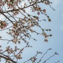 용암천4 이미지