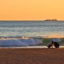 겨울바다 낭만ㅡ역동적인 아침바다(photo by모모수계) 이미지