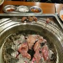 고기바보 이미지