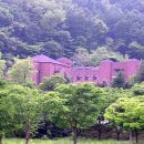 겟세마니동산 이미지