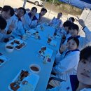 나라차 중계 태권도장 네이버블로그