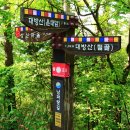 대방산 산행후기_경남 남해군 창선면 옥천리 _2021.04.25