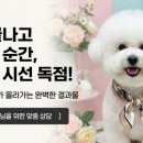 동행펫살롱 네이버블로그