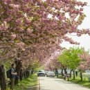 미사경정공원 이미지