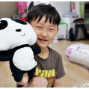 나무영어