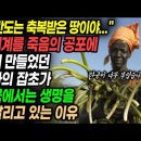 부레옥잠, 냉이 - 해외에서 잡초로 냉대받는 한국인의 애완/애용식물｜재미주의 23.03.12 이미지