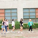 하버드