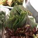 신화불족발불보쌈 이미지