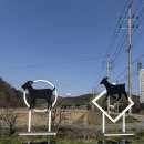 늘푸른 흑염소가든 보성본점 이미지