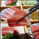 오다참치 이미지