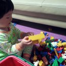 정환2농장 이미지