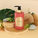 아모르바디 이미지