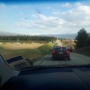 인터파이오니아 | 혼자 알렉산드라 블러썸 페스티벌 (+ 뉴질랜드 버스 비교, 인터시티 꿀팁, 뉴질랜드 신발 사이즈)