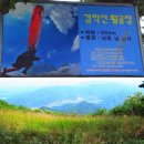 제898회차 10/1 거창 감악산(952 m)산행 및 아스타국화축제예약 신청 이미지