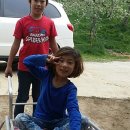 창미농장 이미지