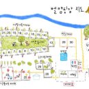 개별 울타리가 있는 애견전용 청도 캠핑장 벨캠핑장 이팝나무존 재방문 솔직후기