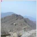 한국 100대명산 광양 백운산 해발 1.218m 이미지