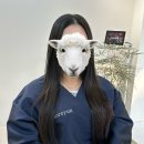 청구성심병원 | [은평구연신내미용실] 청구성심병원근처미용실 모어윤 레이어드펌 후기 1인샵