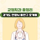 경기도 안양시 동안구 호계동 교정치과 총정리