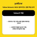 얼라이언스네트워크