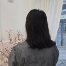 배곧미용실 머리해봄 단발세팅펌