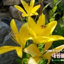 건영지물포 이미지