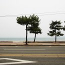 포항시남구48 | 포항 남구 맛집 포항 죽도시장 맛집 보다 훨씬 좋았던 영일대 묵돌이