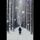 솔로몬고시원 - 노원구 동일로243길 37 | 솔로몬고시원