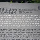 용당사 Daum카페