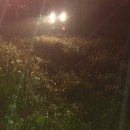 송아리농장 이미지